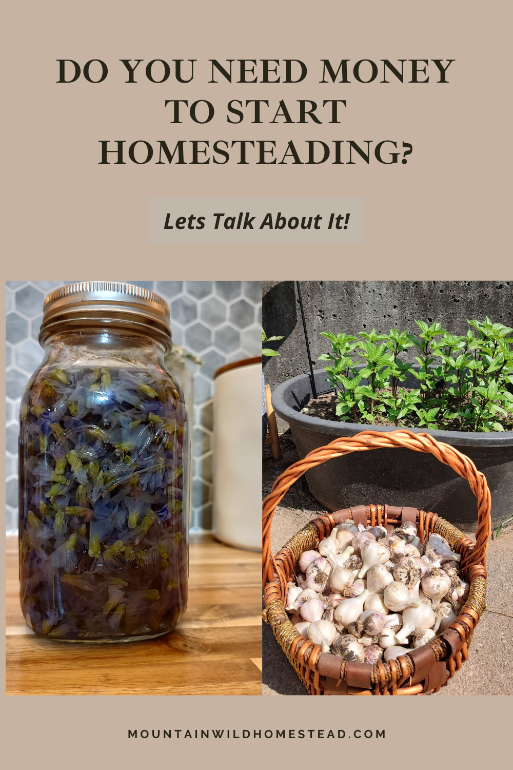 Do You Need Money To Start Homesteading?