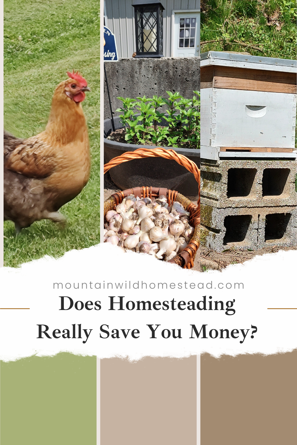 Does Homesteading Really Save Money? Lets Talk About It!