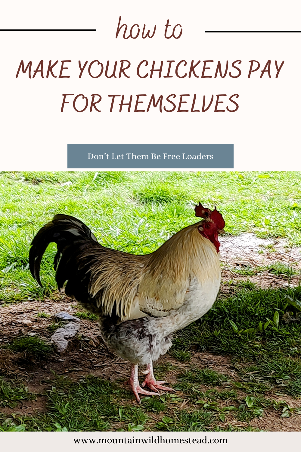 How To Make Your Chickens Pay For Themselves.